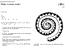 SnakeOrig.gif (45853 bytes)